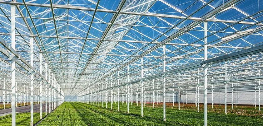 玻璃连栋温室大棚结构详细解析