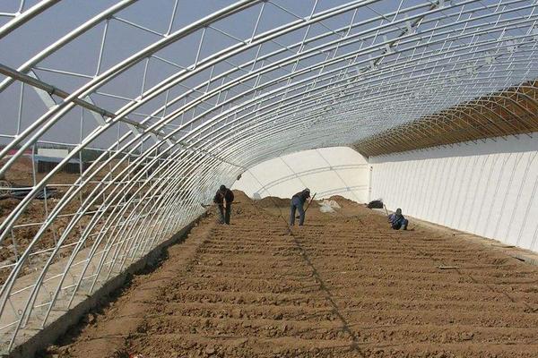 北方日光温室大棚一亩造价多少钱？